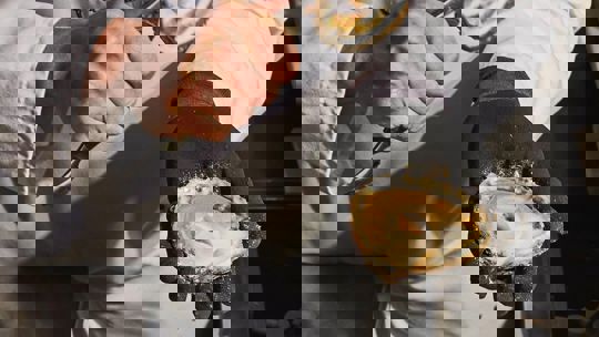 Oysters being prepared by a chef at Bentley’s, a premier oyster bar in London.